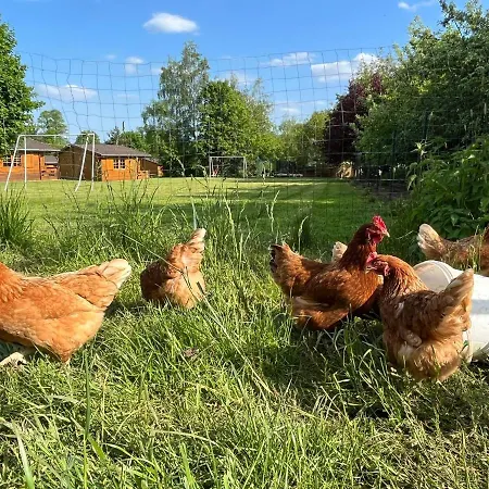 Lucyna Babinska * Radkow