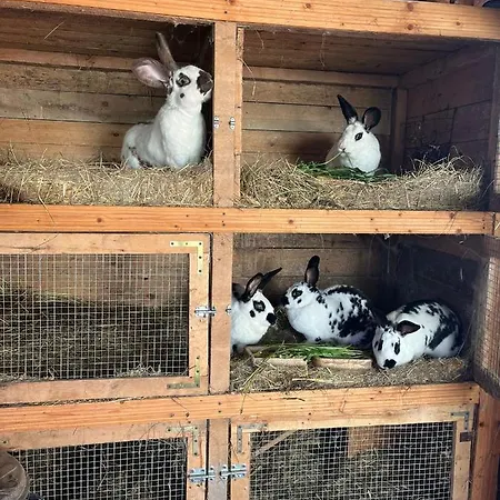 Privat bolig Lucyna Babinska *