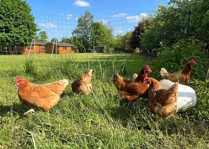 Lucyna Babinska * Radkow