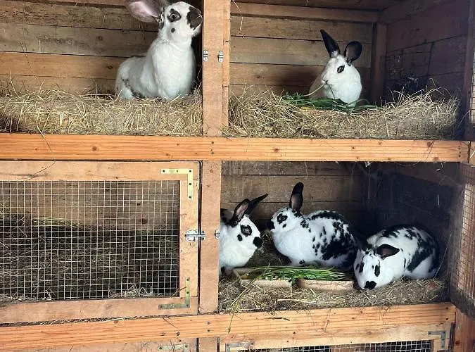 Alloggio in famiglia Lucyna Babinska *