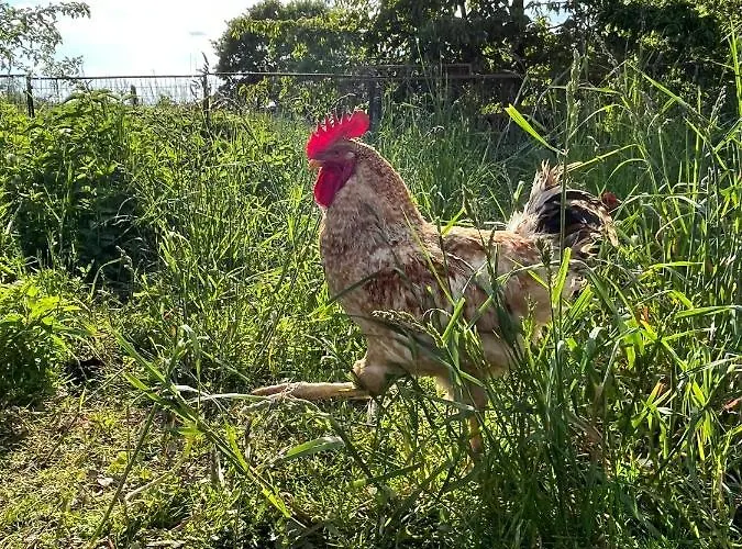 Lucyna Babinska Alloggio in famiglia Radkow